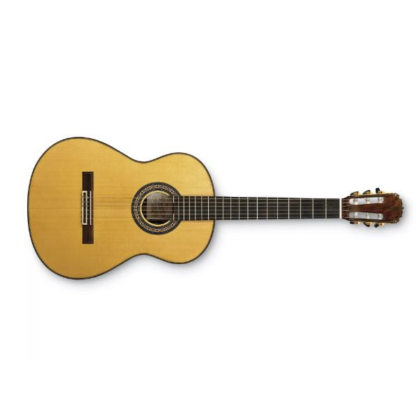 Lyrical Acoustic Guitar on rent