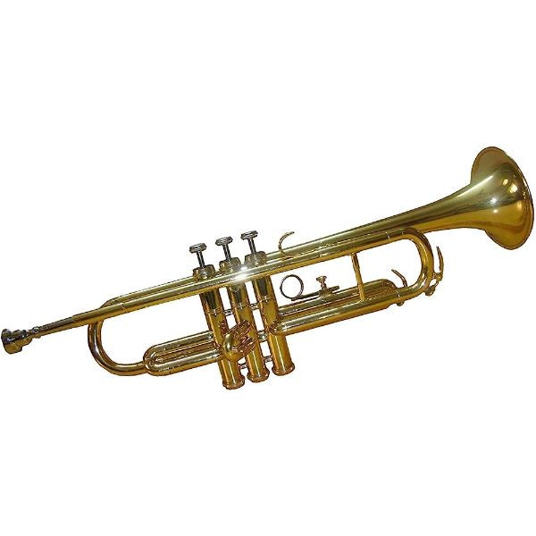 Trumpet (Local Indian Brand) on rent