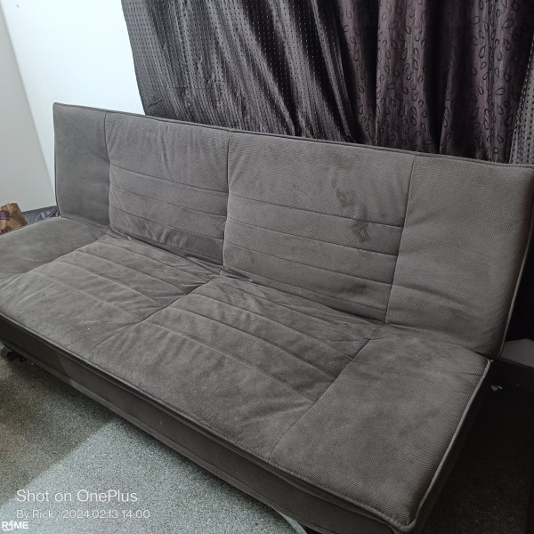 Sofa Cum bed on rent