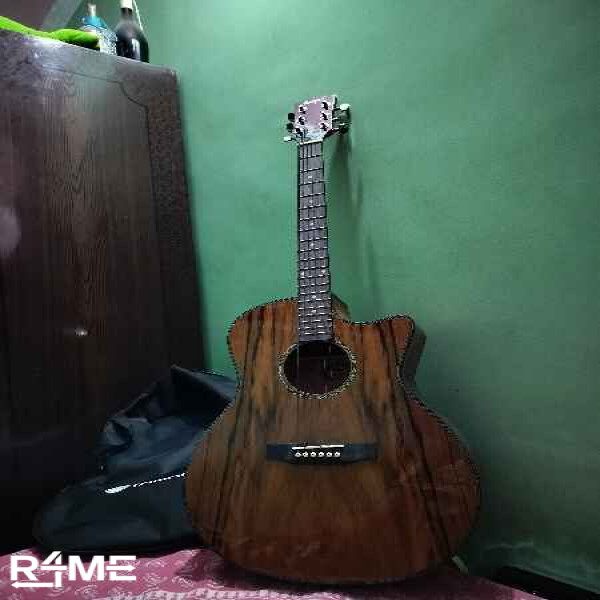 Guitar on rent